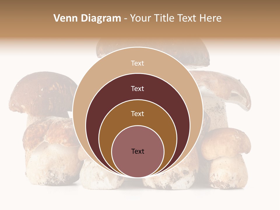 Funghi Porcini PowerPoint Template