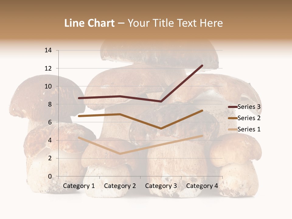 Funghi Porcini PowerPoint Template