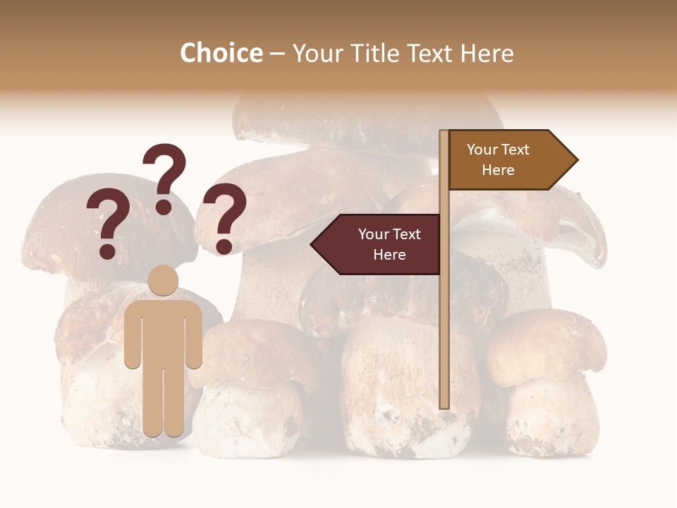 Funghi Porcini PowerPoint Template
