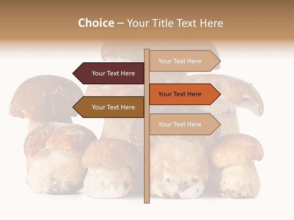 Funghi Porcini PowerPoint Template