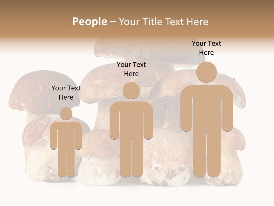 Funghi Porcini PowerPoint Template