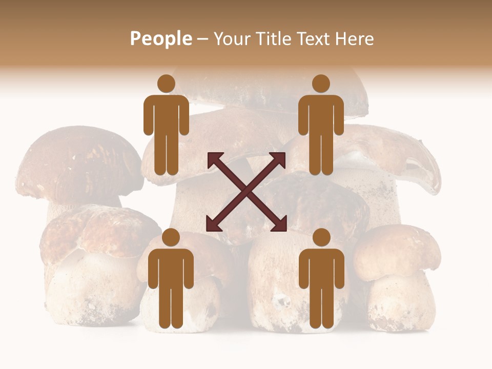 Funghi Porcini PowerPoint Template