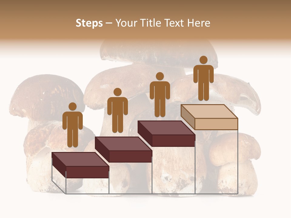 Funghi Porcini PowerPoint Template