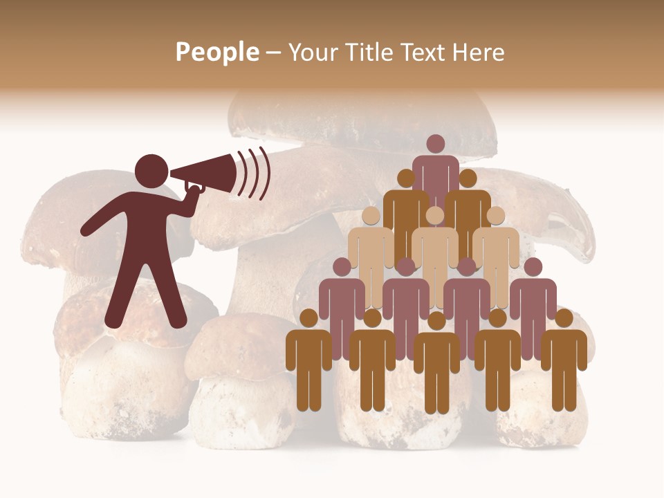 Funghi Porcini PowerPoint Template