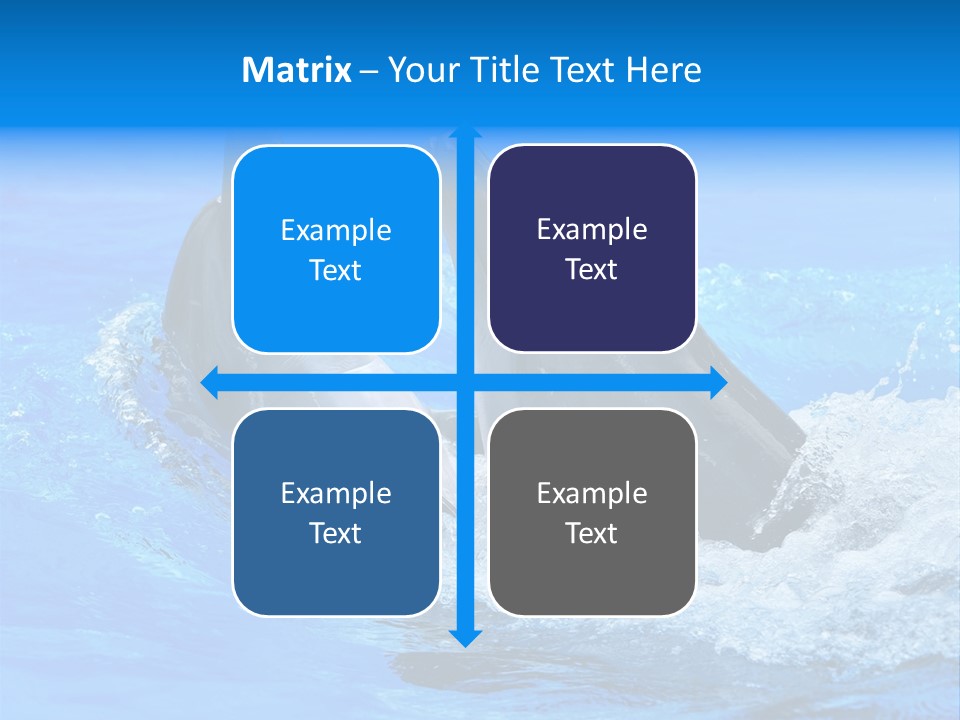Dolphin PowerPoint Template