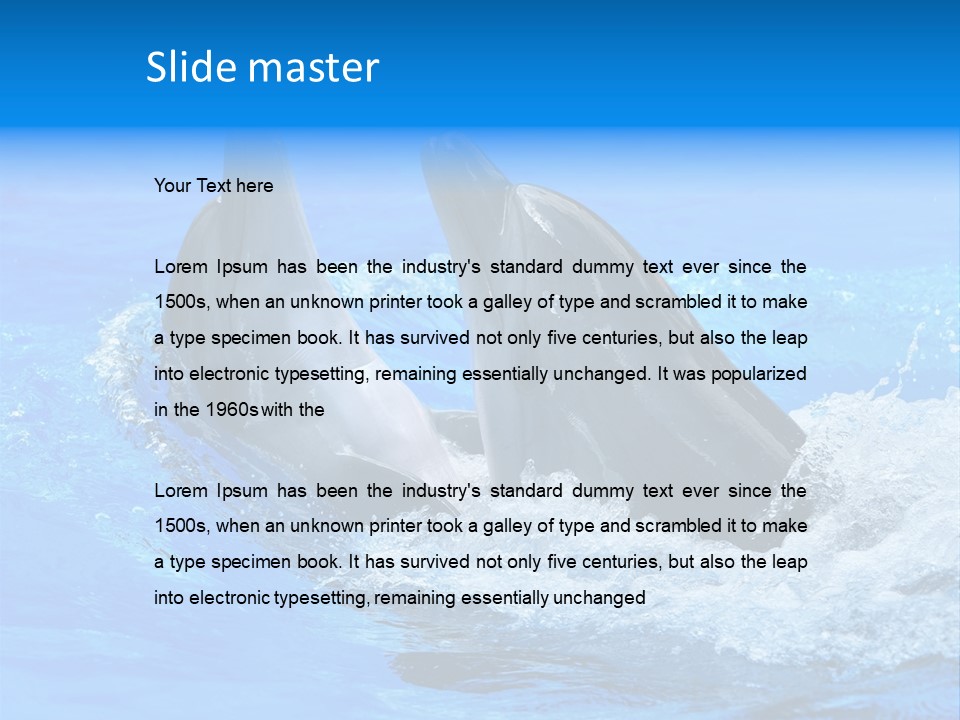 Dolphin PowerPoint Template