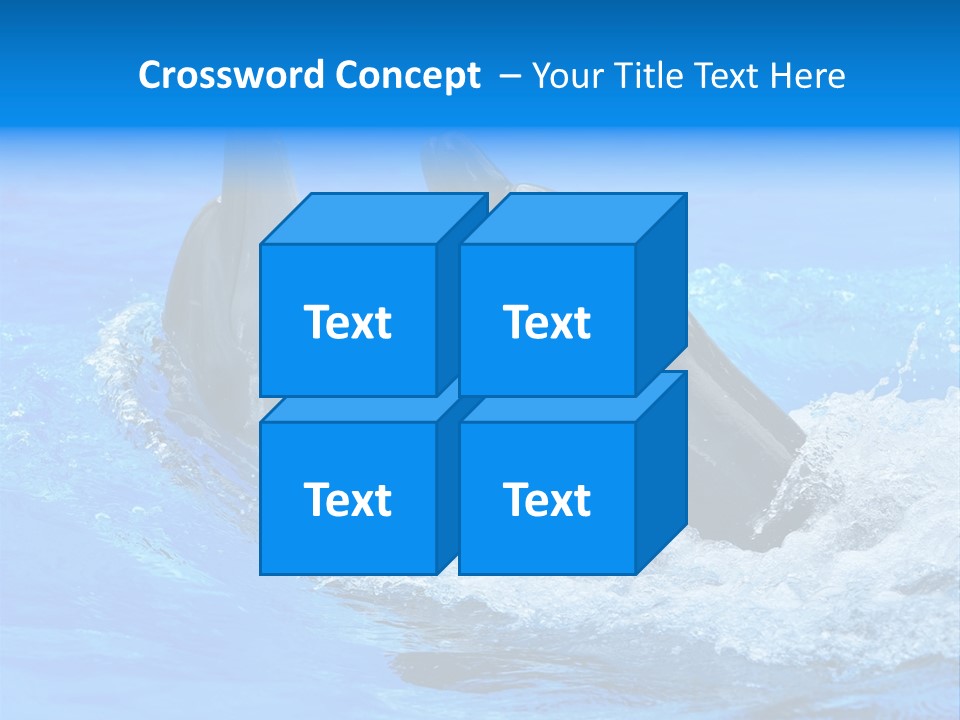 Dolphin PowerPoint Template