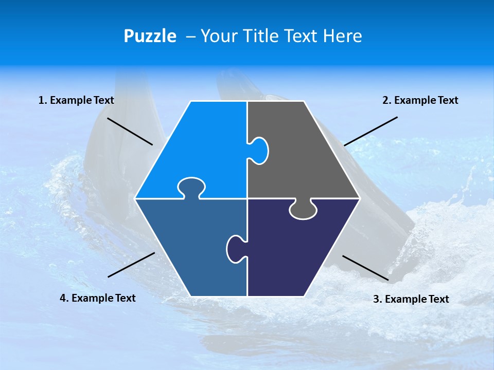 Dolphin PowerPoint Template