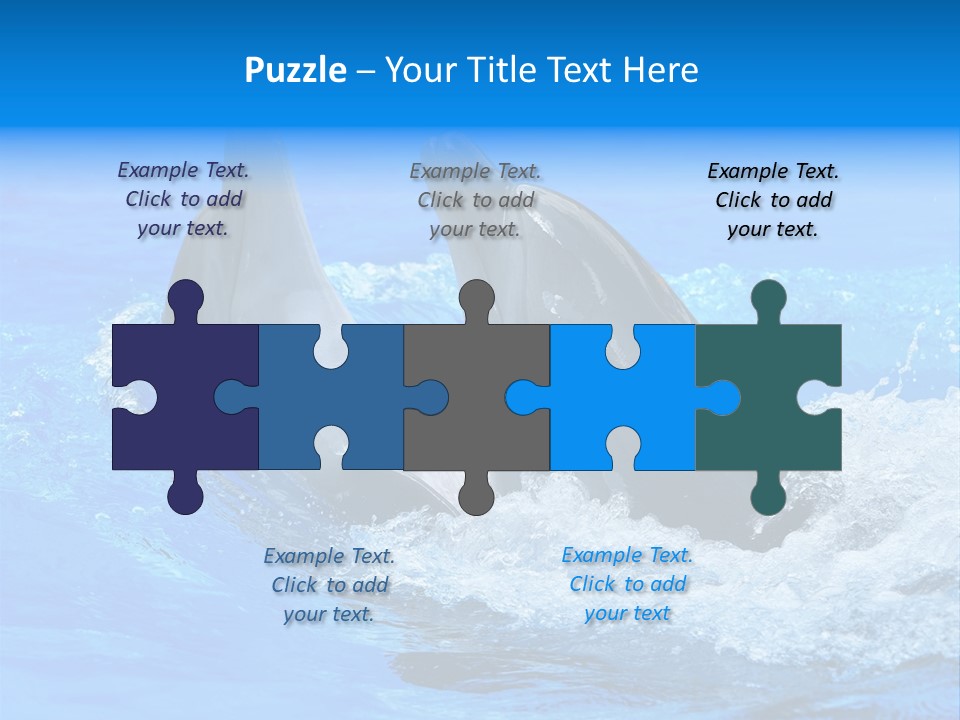 Dolphin PowerPoint Template