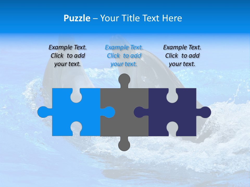 Dolphin PowerPoint Template