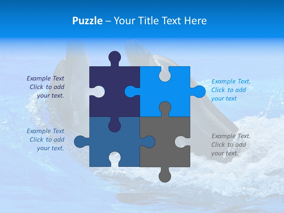 Dolphin PowerPoint Template