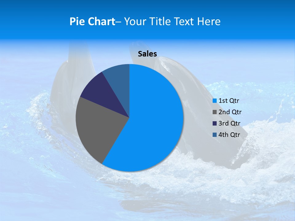 Dolphin PowerPoint Template
