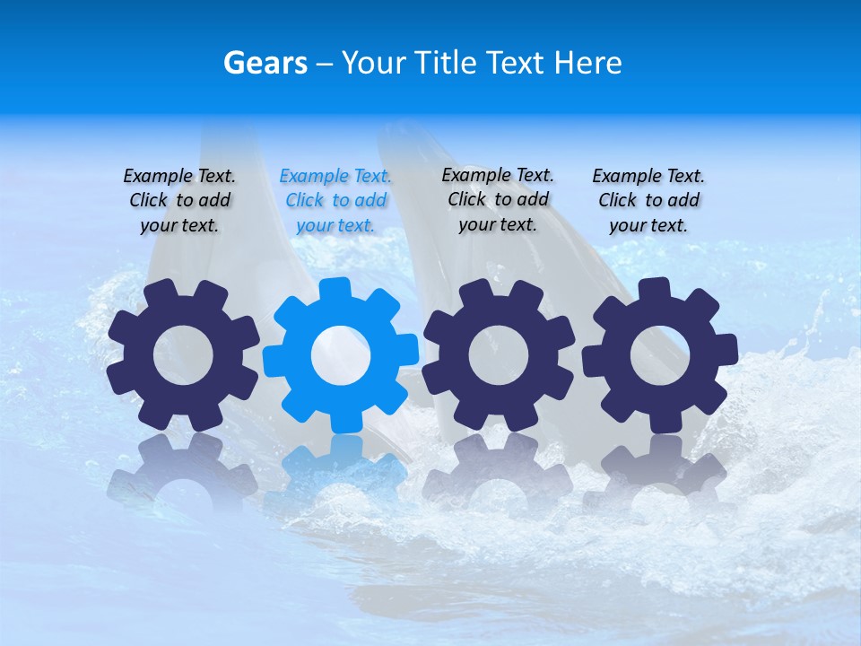 Dolphin PowerPoint Template