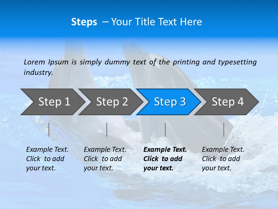 Dolphin PowerPoint Template