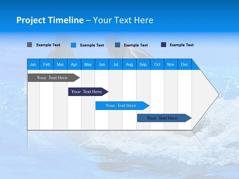 Dolphin PowerPoint Template