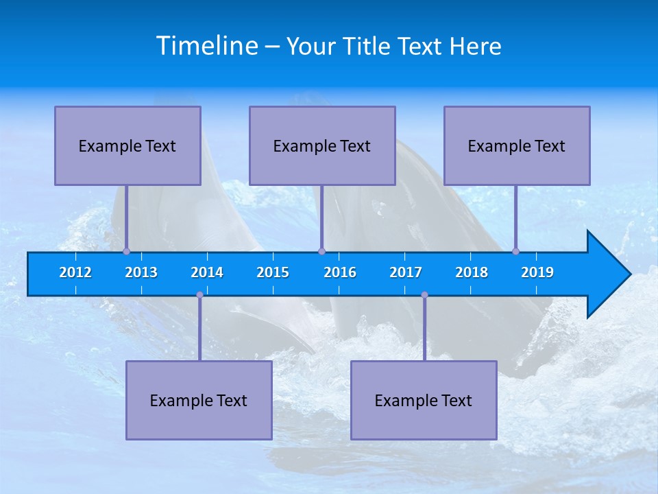 Dolphin PowerPoint Template
