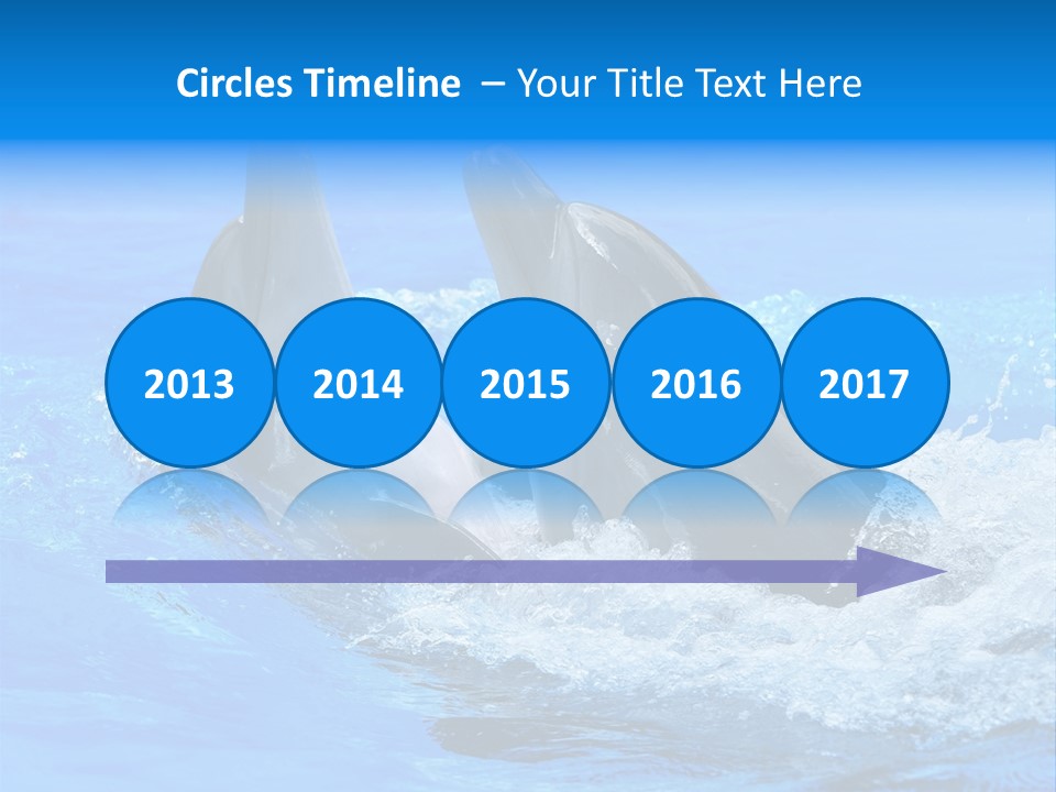 Dolphin PowerPoint Template