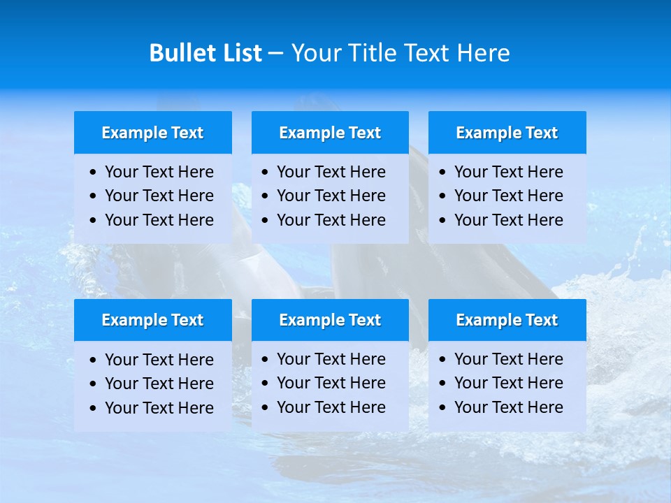 Dolphin PowerPoint Template
