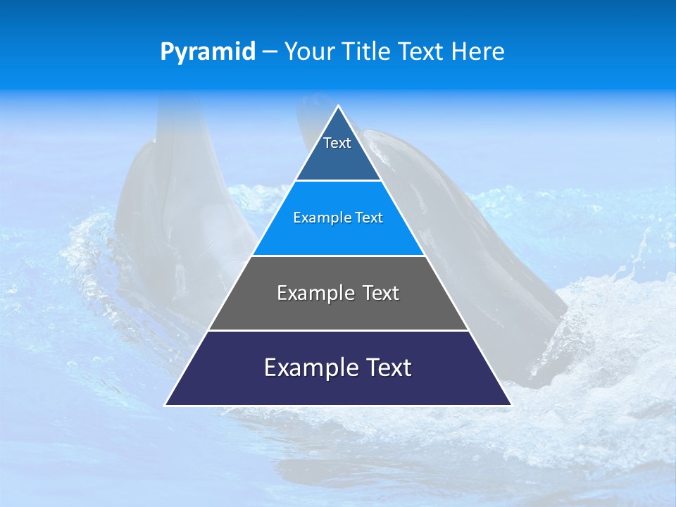 Dolphin PowerPoint Template