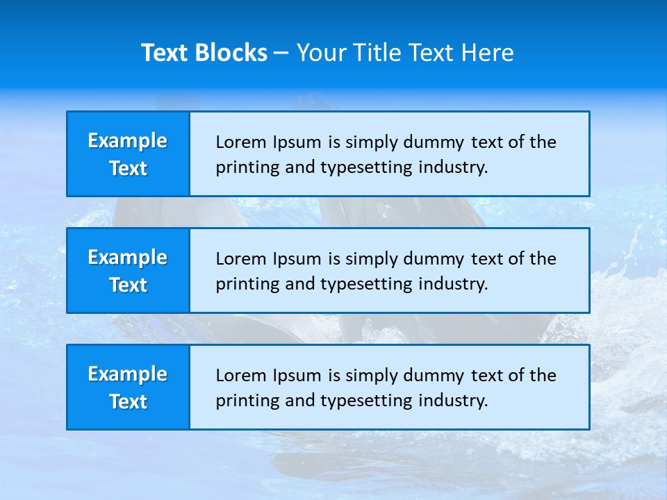 Dolphin PowerPoint Template