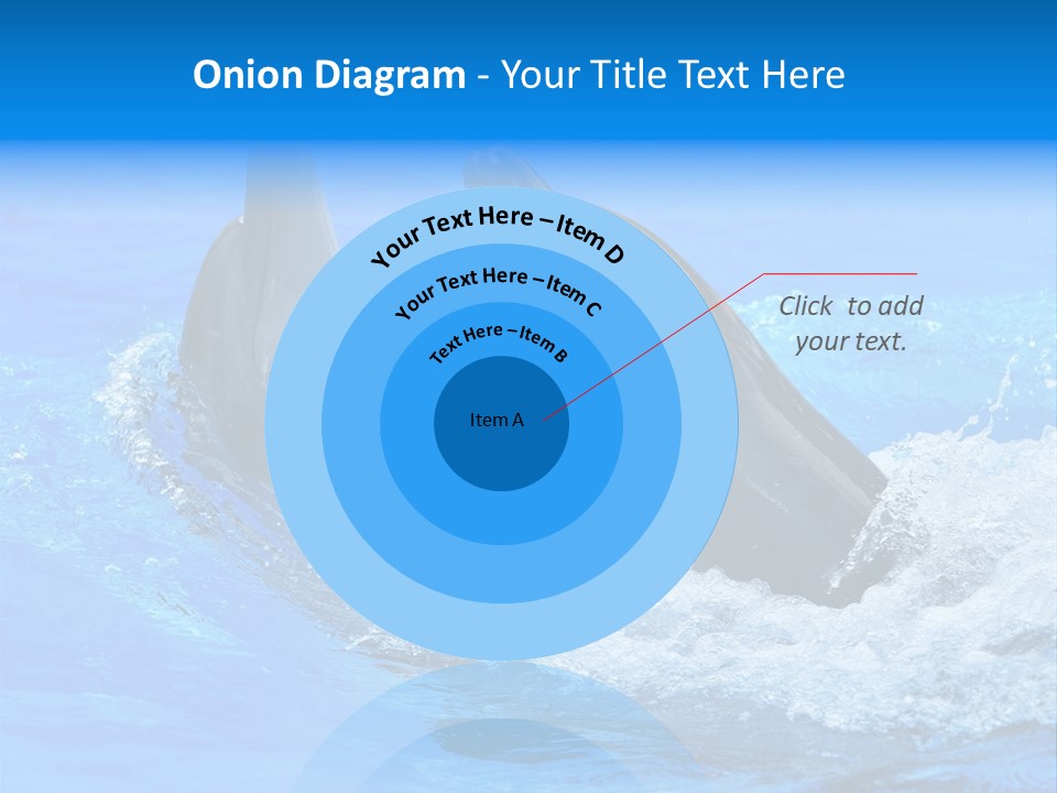Dolphin PowerPoint Template