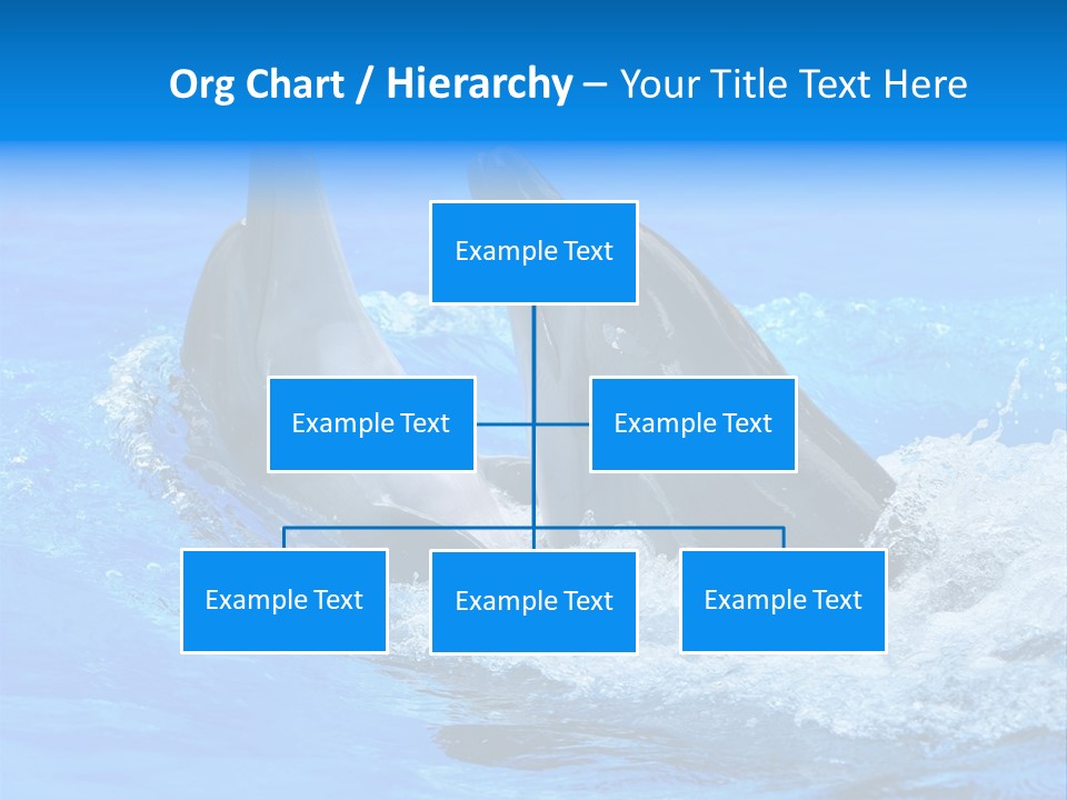 Dolphin PowerPoint Template
