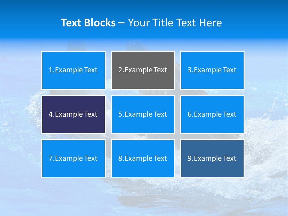 Dolphin PowerPoint Template