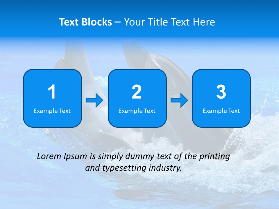 Dolphin PowerPoint Template