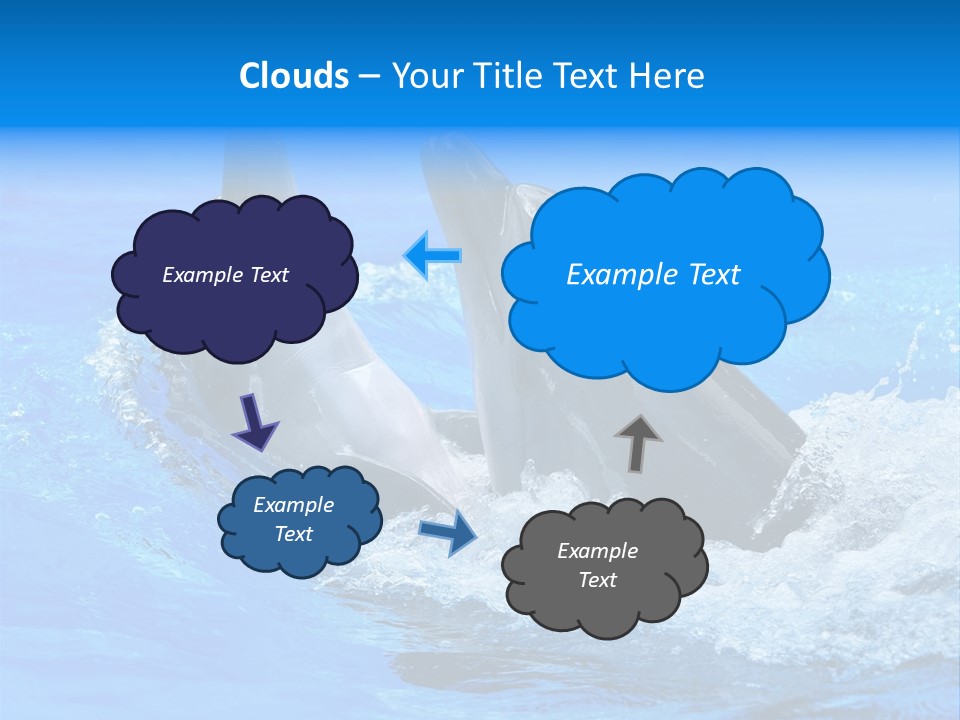 Dolphin PowerPoint Template