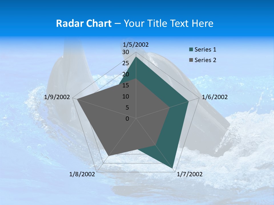 Dolphin PowerPoint Template