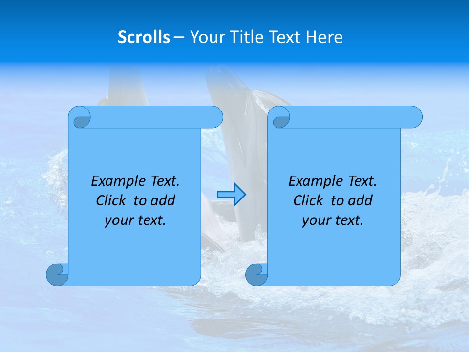 Dolphin PowerPoint Template