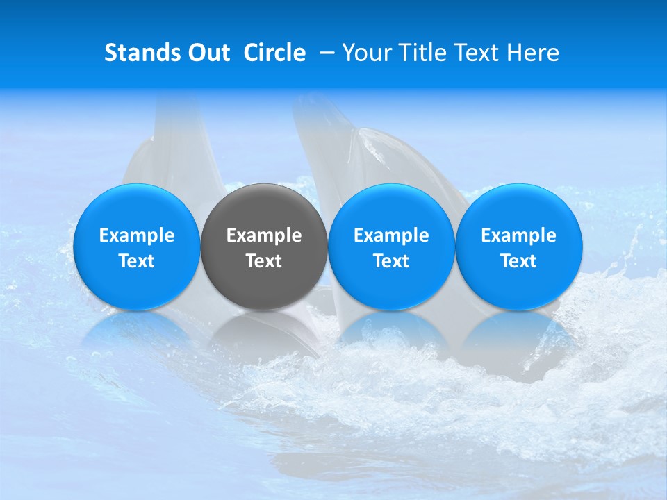 Dolphin PowerPoint Template