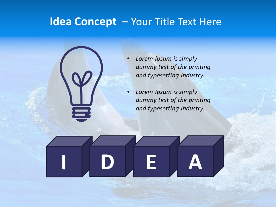 Dolphin PowerPoint Template