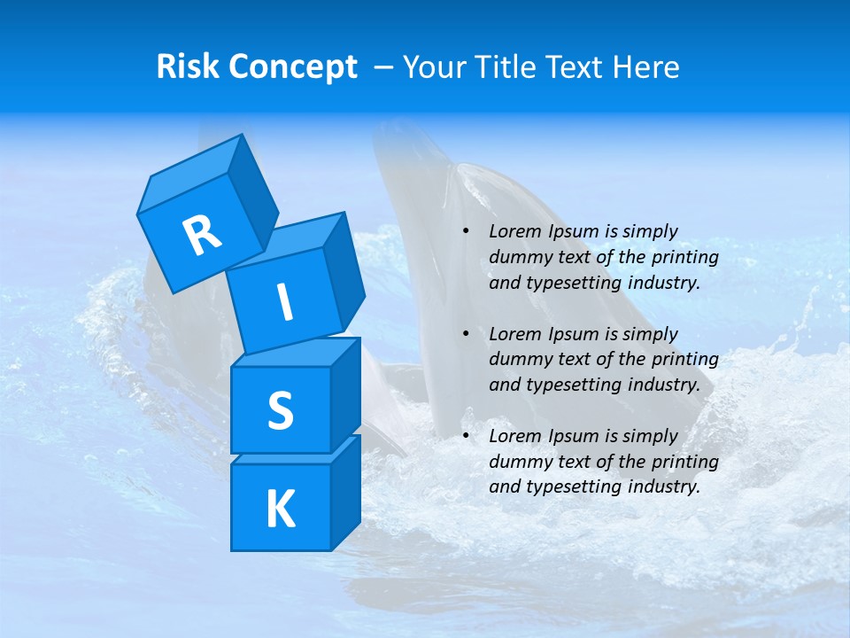 Dolphin PowerPoint Template