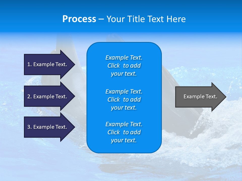 Dolphin PowerPoint Template