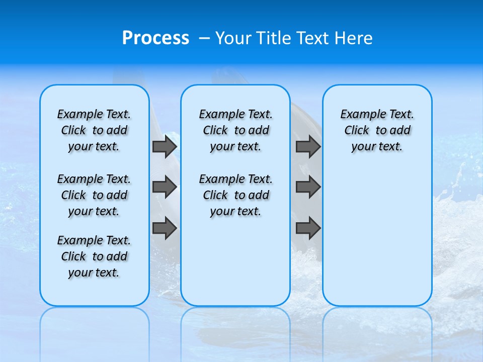 Dolphin PowerPoint Template