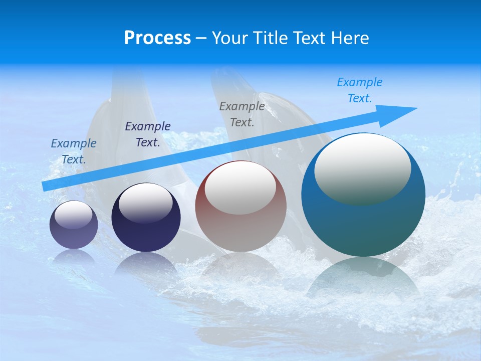 Dolphin PowerPoint Template