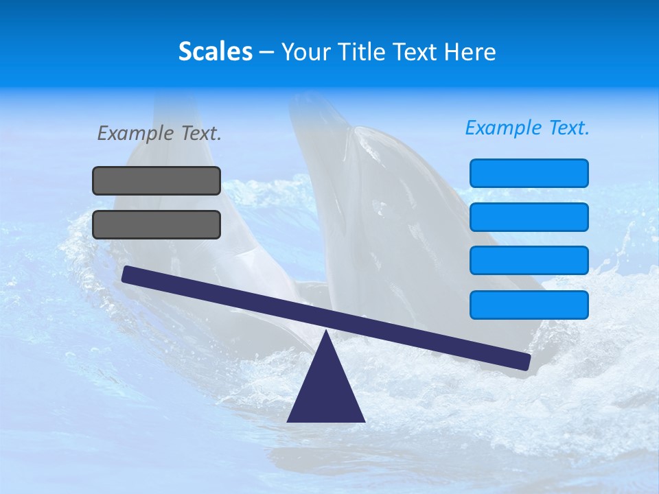 Dolphin PowerPoint Template