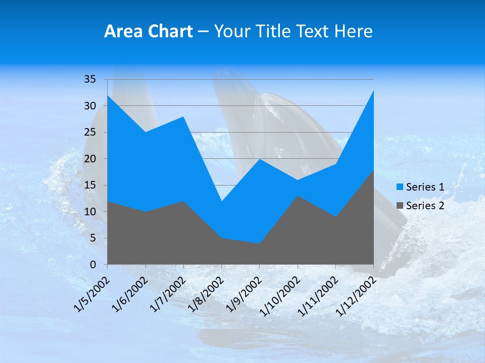 Dolphin PowerPoint Template