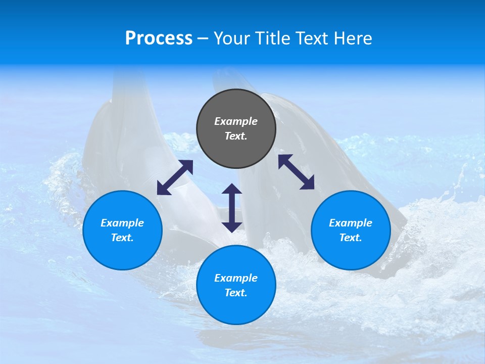 Dolphin PowerPoint Template