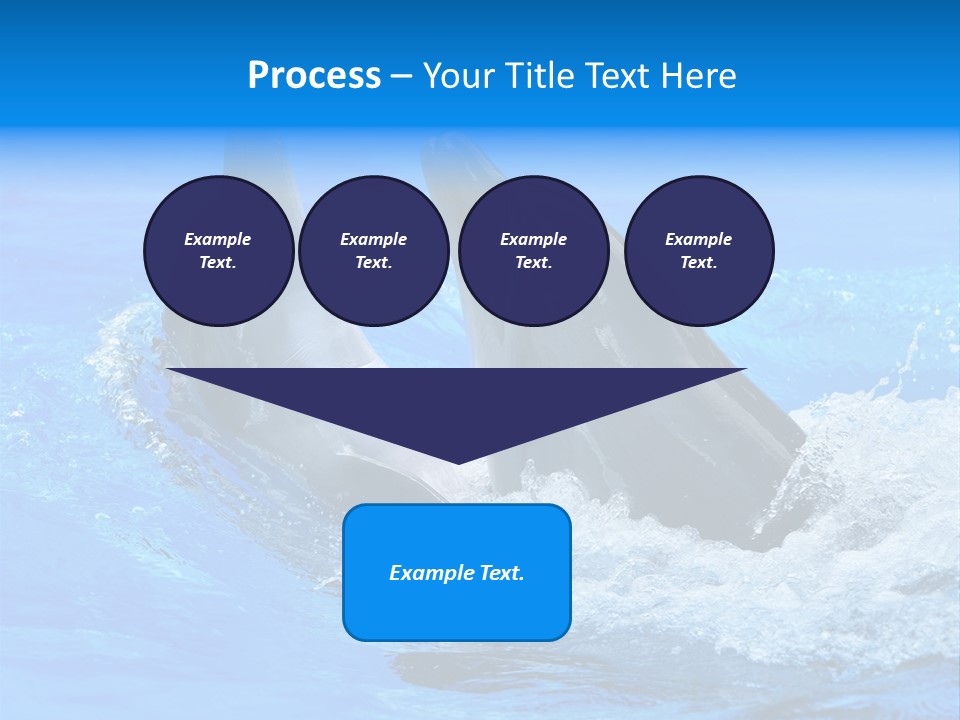 Dolphin PowerPoint Template