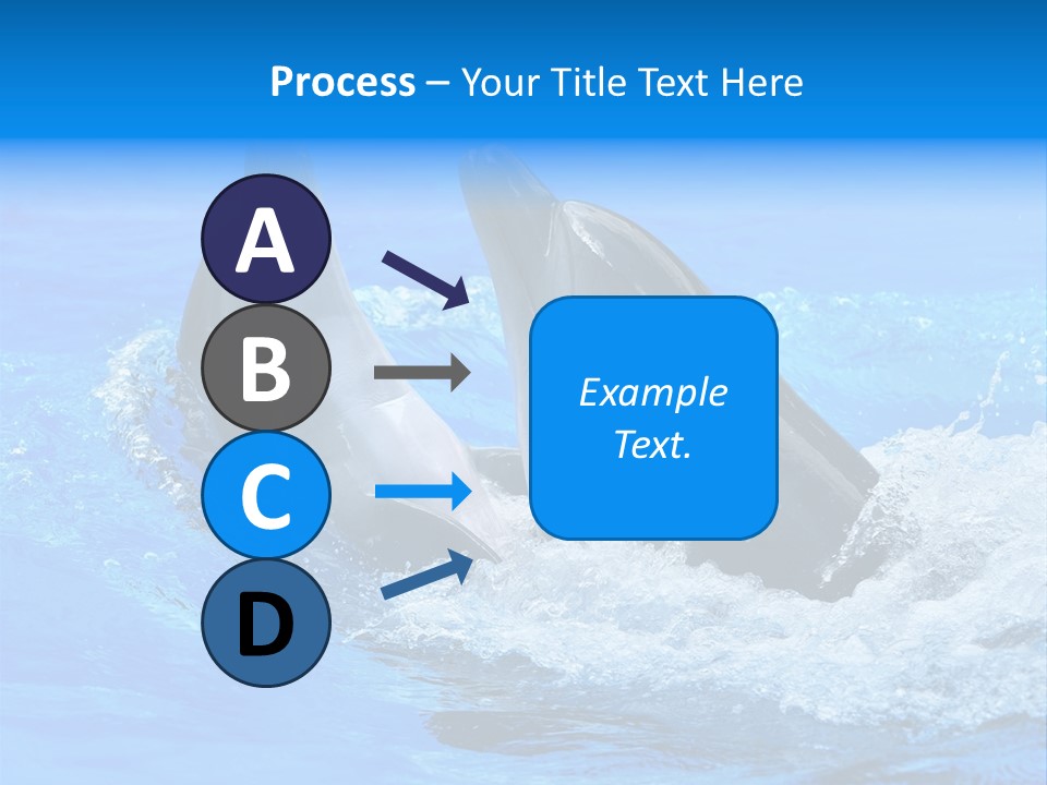 Dolphin PowerPoint Template