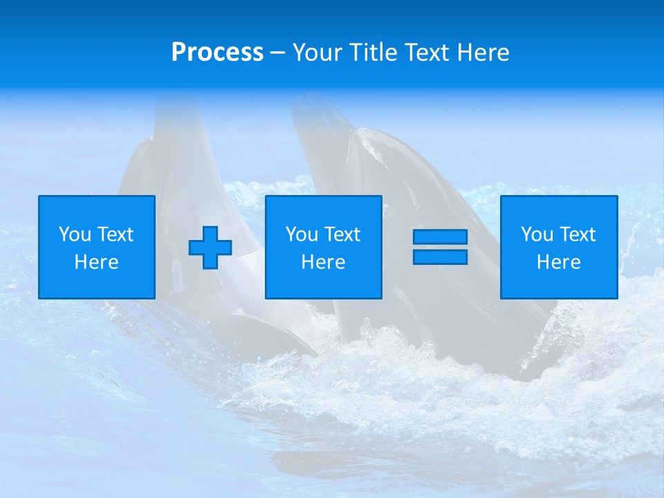 Dolphin PowerPoint Template