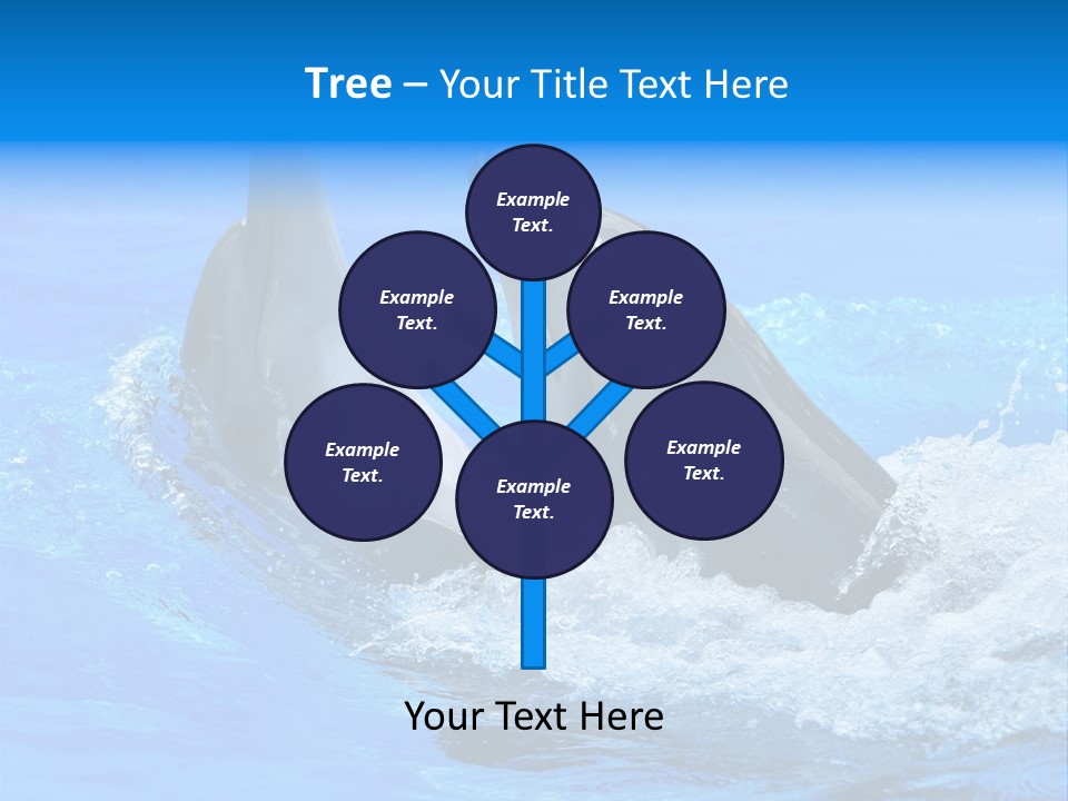 Dolphin PowerPoint Template