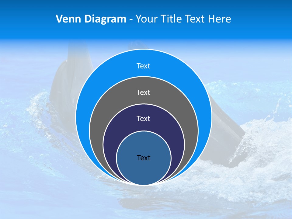 Dolphin PowerPoint Template