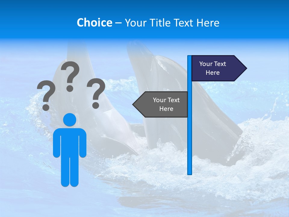 Dolphin PowerPoint Template
