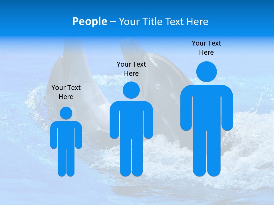 Dolphin PowerPoint Template