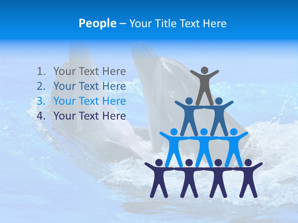 Dolphin PowerPoint Template