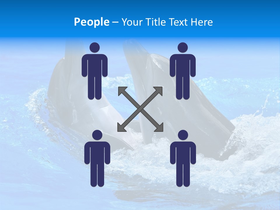 Dolphin PowerPoint Template