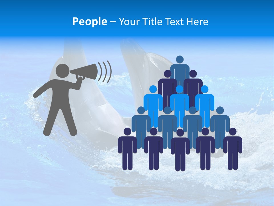 Dolphin PowerPoint Template